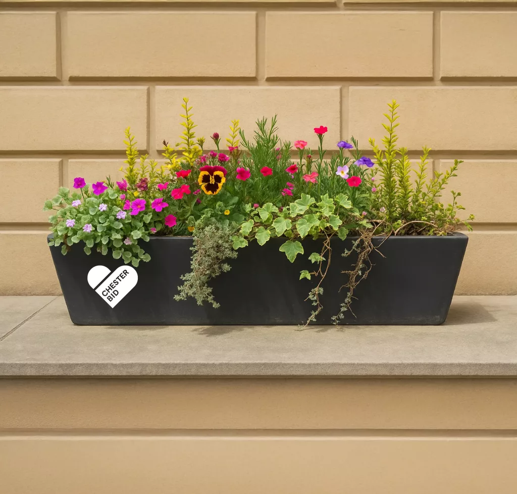 Long black planter on stone ledge with colourful flowers and trailing ivy against beige wall, heart sticker Chester BID.
