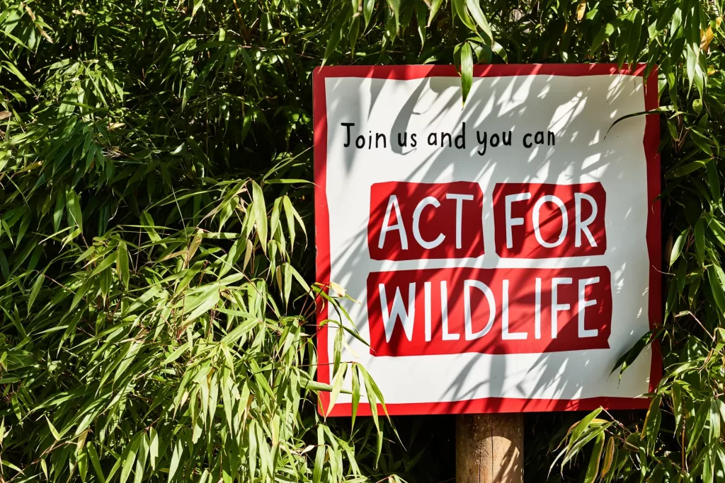 Red and white sign reading ACT FOR WILDLIFE, partly hidden among bamboo leaves