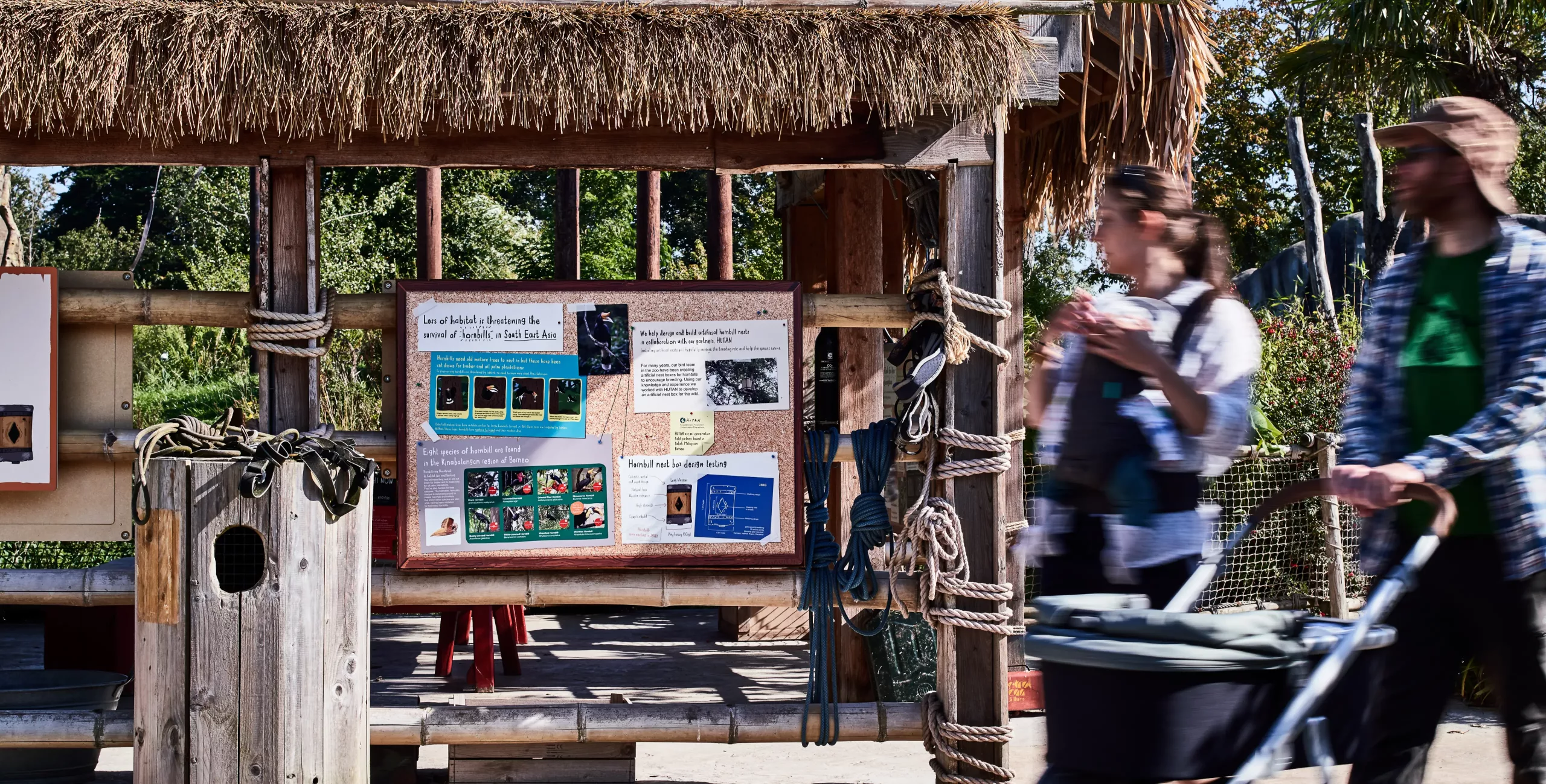 Thatched wooden information board about hornbills with coiled ropes and gear, blurred visitors pushing a stroller at right.
