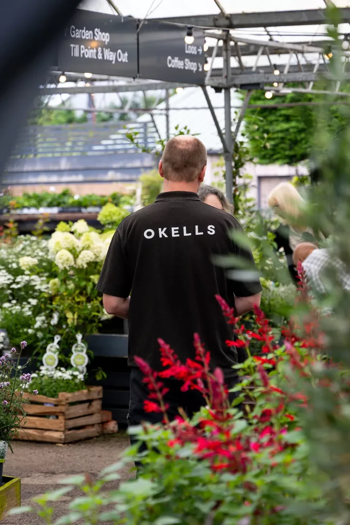 Person in black shirt with OKELLS on the back standing among plants and red flowers in a garden centre greenhouse.