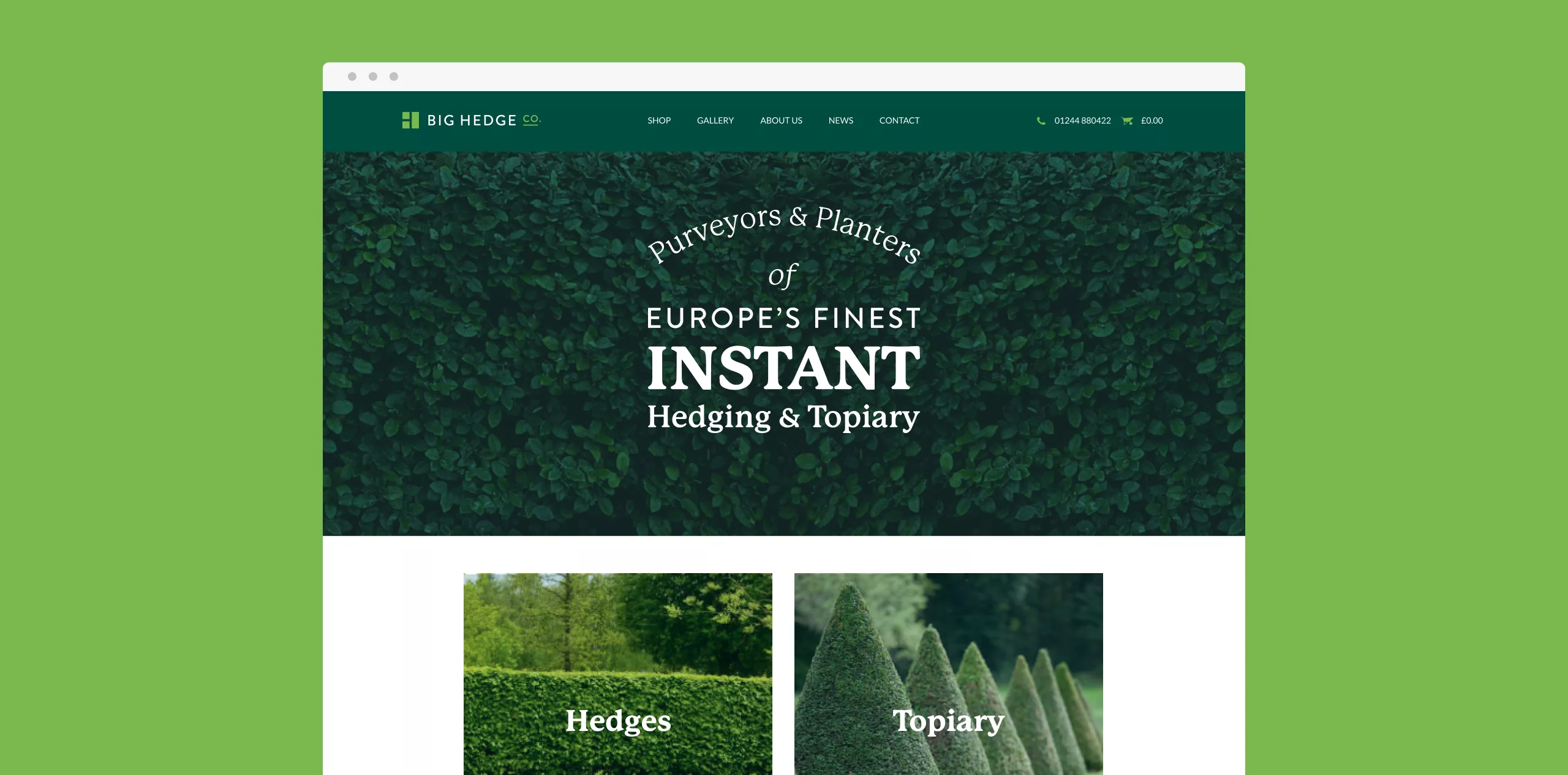 Website mockup for Big Hedge Co. with dark green header, dense hedge hero image saying Instant hedging & topiary, with tiles.