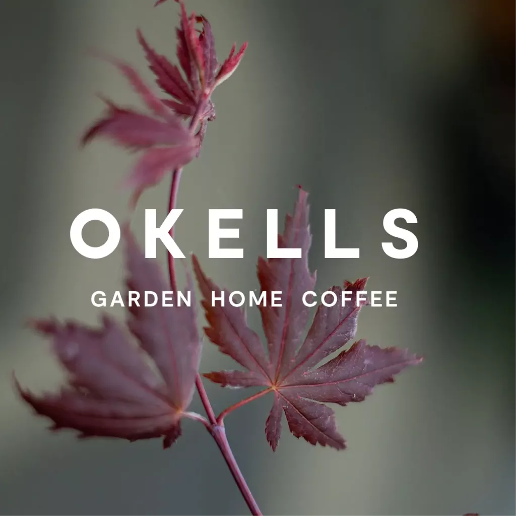 Red Japanese maple leaves against a soft green background with bold white text OKELLS and smaller tagline GARDEN HOME COFFEE