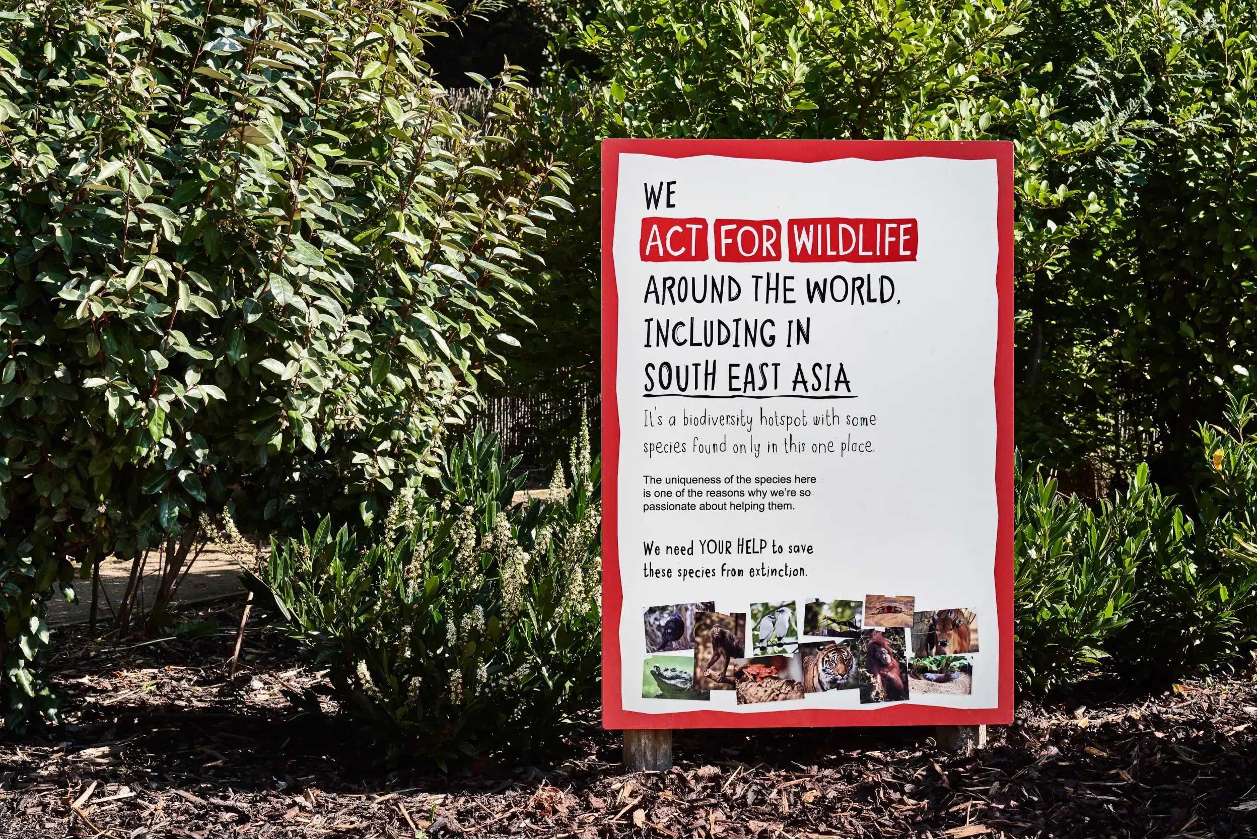 Outdoor conservation sign with red border reading We act for wildlife and South East Asia, standing among green shrubs.