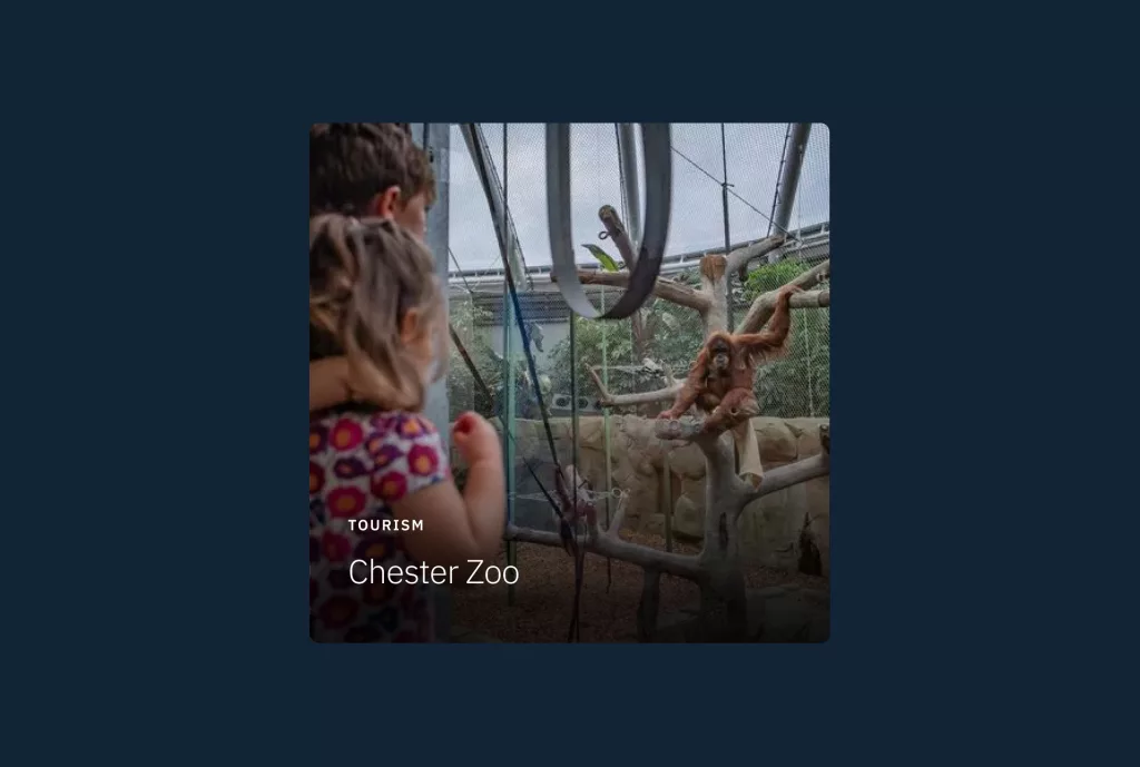 Two children watching an orangutan in a glass-fronted enclosure at Chester Zoo.