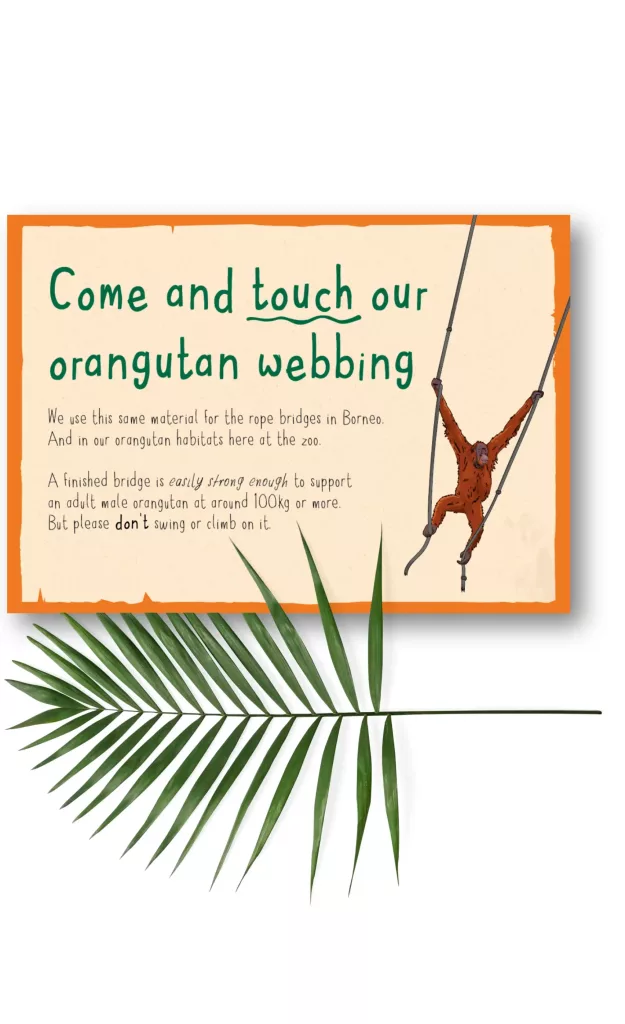 Sign reading Come and touch our orangutan webbing with a cartoon orangutan swinging on ropes and a palm frond below