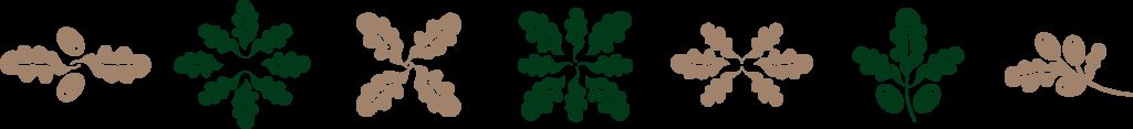 Row of alternating stylised leaf clusters in tan and dark green, linked by thin grey arrows on a black background.