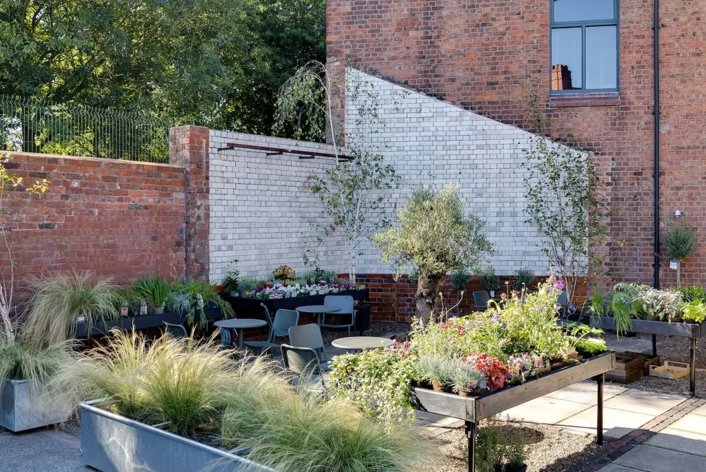 Walled courtyard garden with raised planters, mixed flowering plants, outdoor seating and a small olive tree.