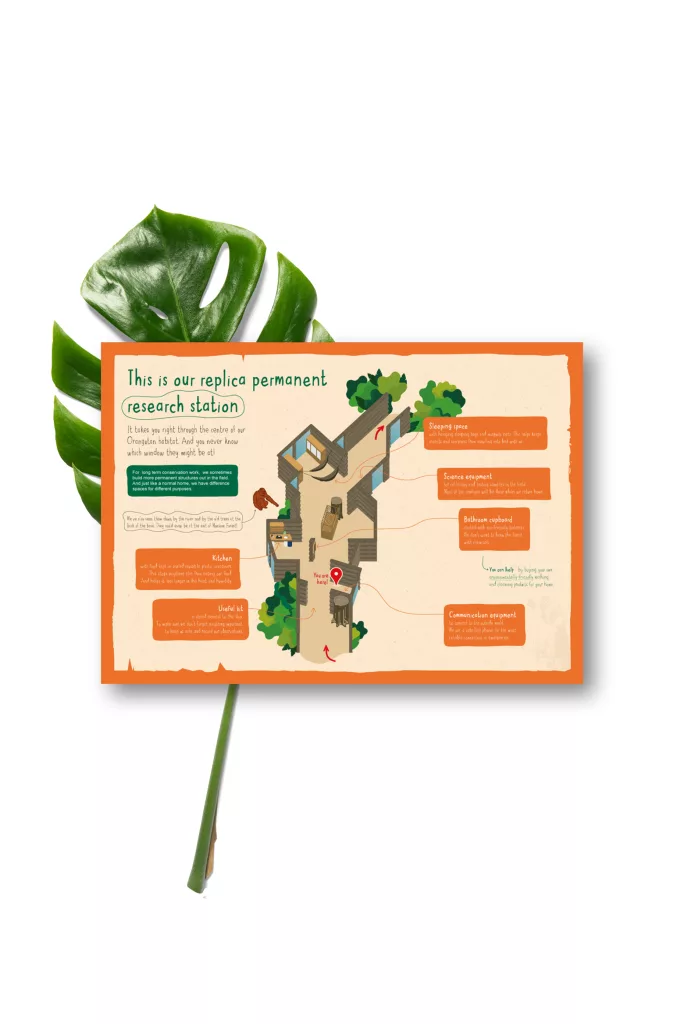 Orange-infographic titled replica research station placed on a large green leaf, depicting a labelled treehouse layout