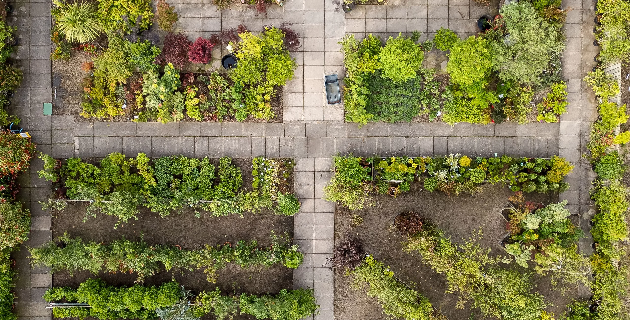 Aerial view of an allotment garden with rectangular planted beds separated by intersecting paved paths and mixed shrubs