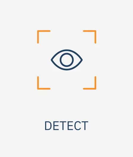 Stylised eye icon framed by four orange corner brackets with the word DETECT shown beneath