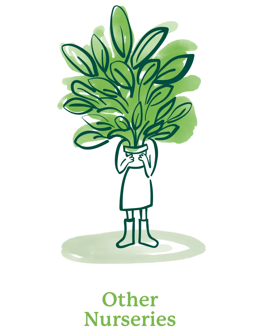 Person holding a large potted plant whose oversized leaves hide their head, with the words 'Other Nurseries' beneath.