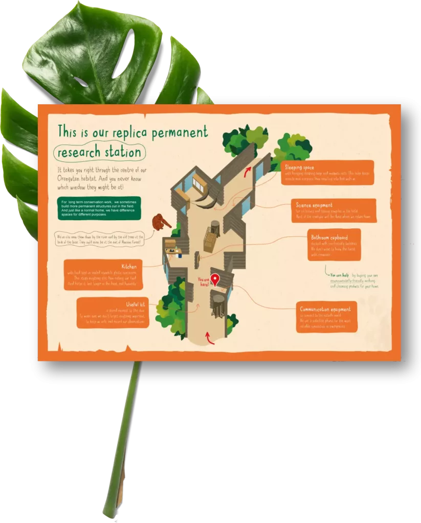 Orange-bordered sign showing a replica orangutan research station diagram on a stake with a green leaf behind.