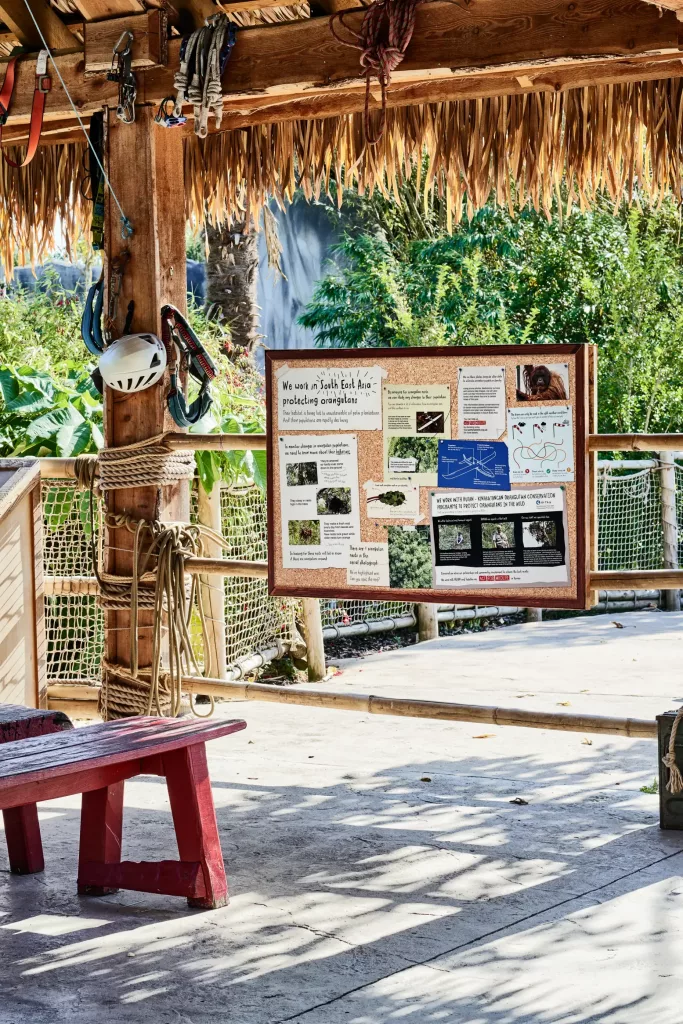 Thatched wooden shelter with ropes, climbing gear and helmet, a board about orangutan conservation and a red bench.